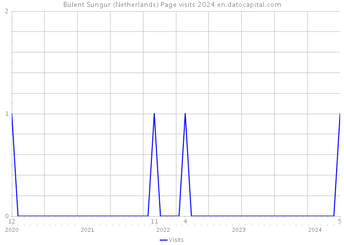Bülent Sungur (Netherlands) Page visits 2024 