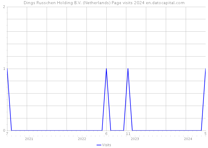 Dings Russchen Holding B.V. (Netherlands) Page visits 2024 