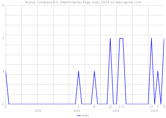Skytop Company B.V. (Netherlands) Page visits 2024 