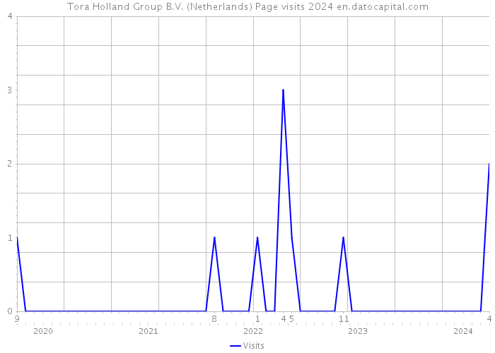 Tora Holland Group B.V. (Netherlands) Page visits 2024 