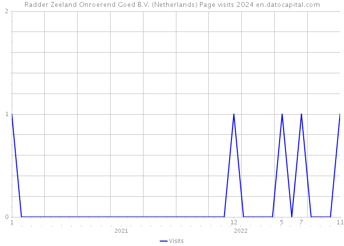 Radder Zeeland Onroerend Goed B.V. (Netherlands) Page visits 2024 