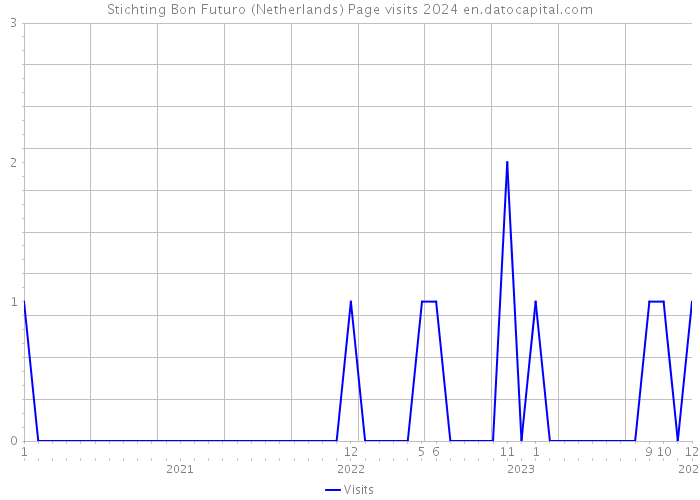 Stichting Bon Futuro (Netherlands) Page visits 2024 