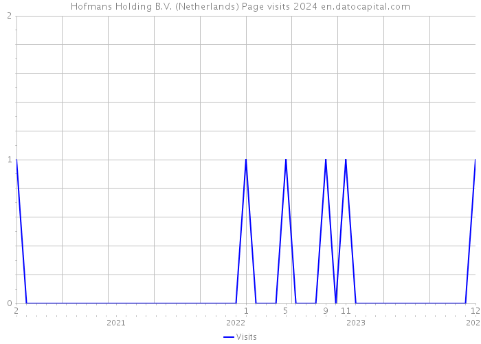 Hofmans Holding B.V. (Netherlands) Page visits 2024 