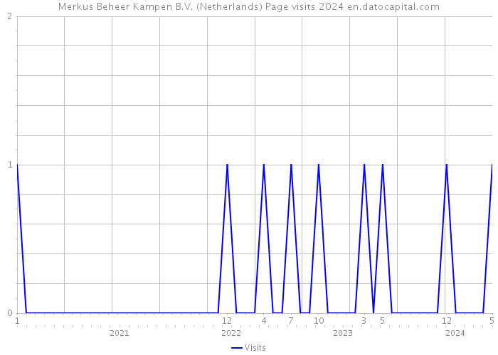 Merkus Beheer Kampen B.V. (Netherlands) Page visits 2024 