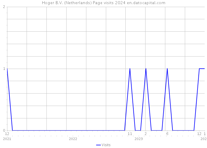 Hoger B.V. (Netherlands) Page visits 2024 