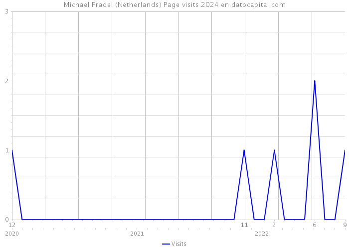 Michael Pradel (Netherlands) Page visits 2024 
