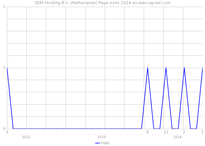 SDM Holding B.V. (Netherlands) Page visits 2024 