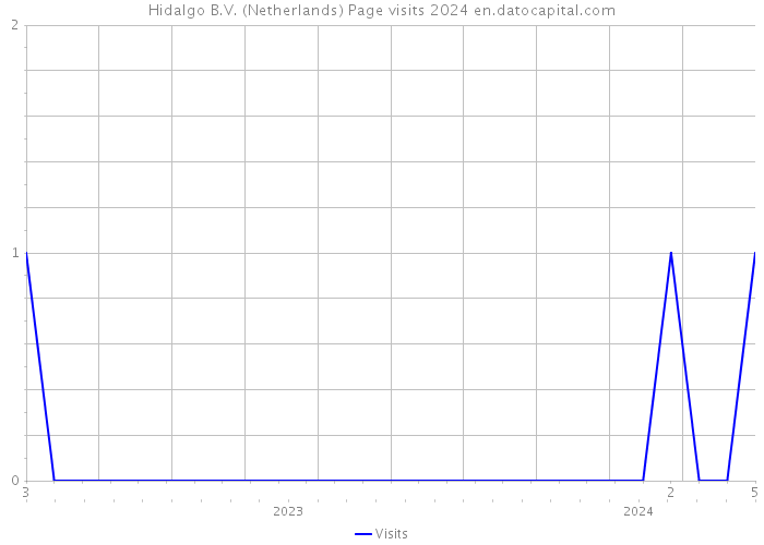 Hidalgo B.V. (Netherlands) Page visits 2024 