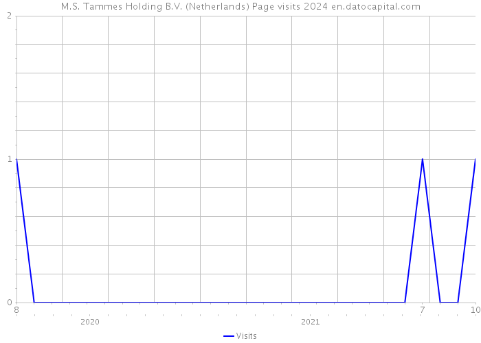 M.S. Tammes Holding B.V. (Netherlands) Page visits 2024 