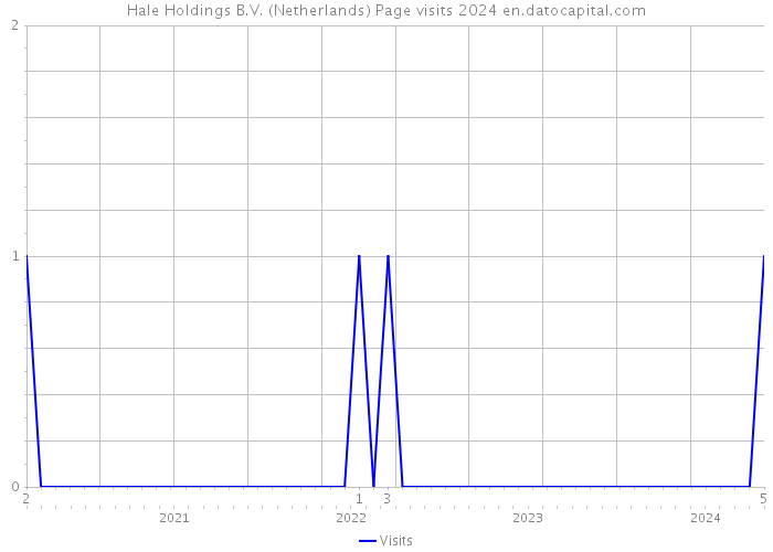 Hale Holdings B.V. (Netherlands) Page visits 2024 