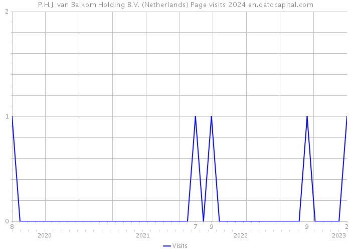 P.H.J. van Balkom Holding B.V. (Netherlands) Page visits 2024 