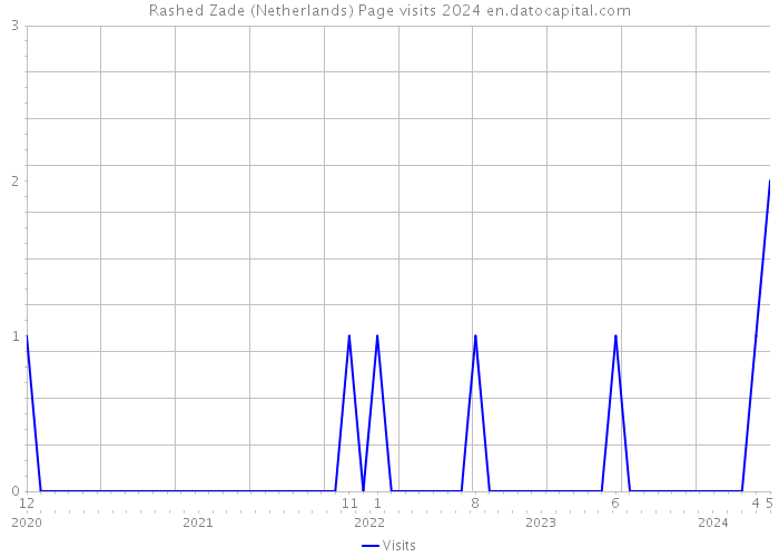 Rashed Zade (Netherlands) Page visits 2024 