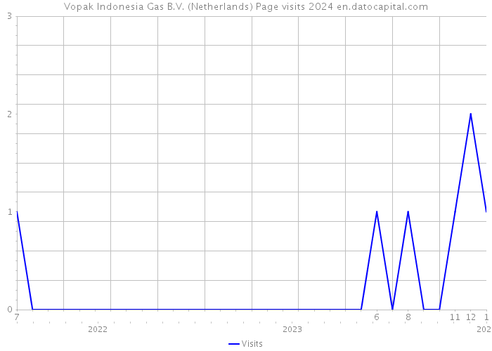 Vopak Indonesia Gas B.V. (Netherlands) Page visits 2024 