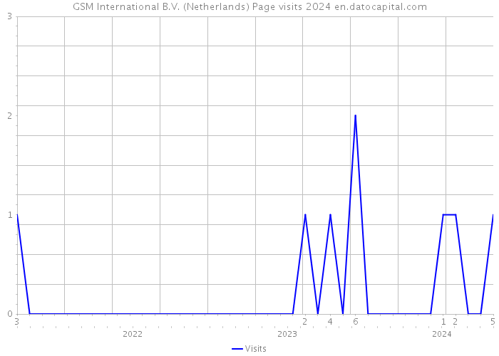 GSM International B.V. (Netherlands) Page visits 2024 