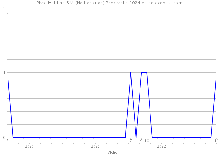 Pivot Holding B.V. (Netherlands) Page visits 2024 