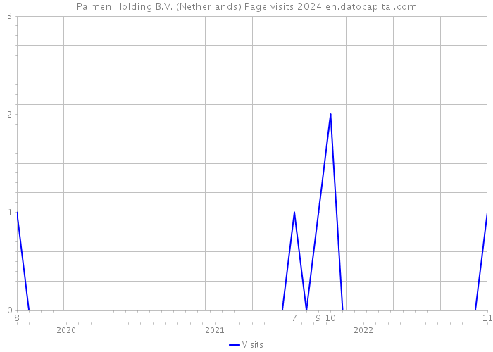 Palmen Holding B.V. (Netherlands) Page visits 2024 