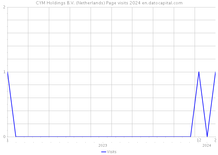 CYM Holdings B.V. (Netherlands) Page visits 2024 