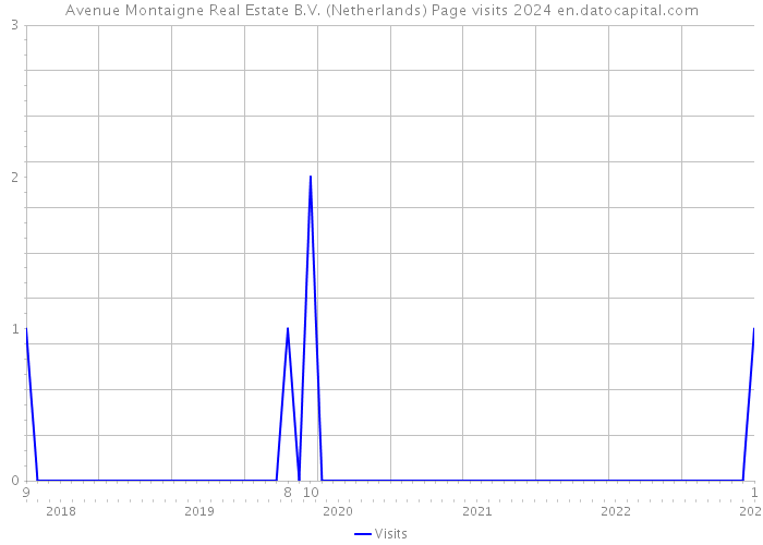 Avenue Montaigne Real Estate B.V. (Netherlands) Page visits 2024 