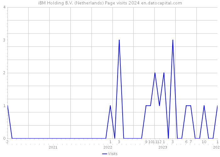 iBM Holding B.V. (Netherlands) Page visits 2024 