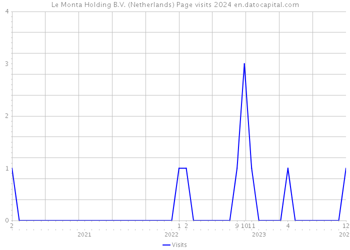 Le Monta Holding B.V. (Netherlands) Page visits 2024 