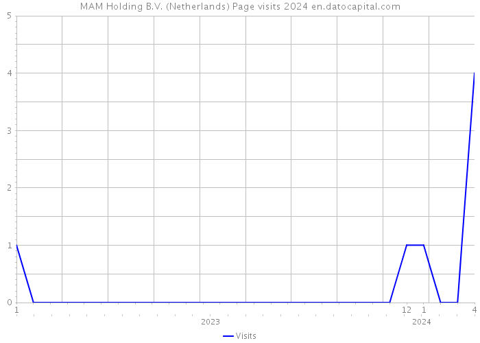 MAM Holding B.V. (Netherlands) Page visits 2024 