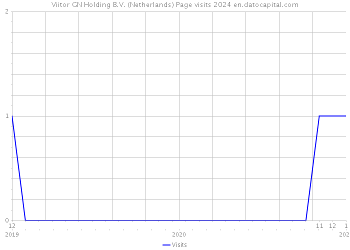 Viitor GN Holding B.V. (Netherlands) Page visits 2024 