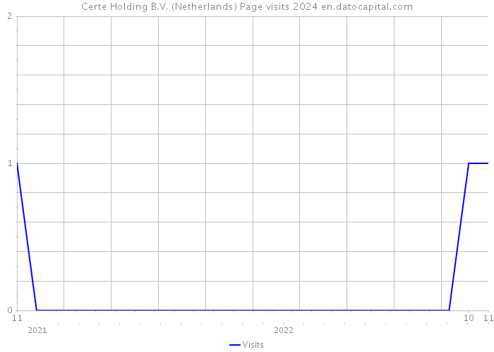 Certe Holding B.V. (Netherlands) Page visits 2024 