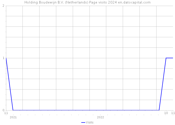 Holding Boudewijn B.V. (Netherlands) Page visits 2024 