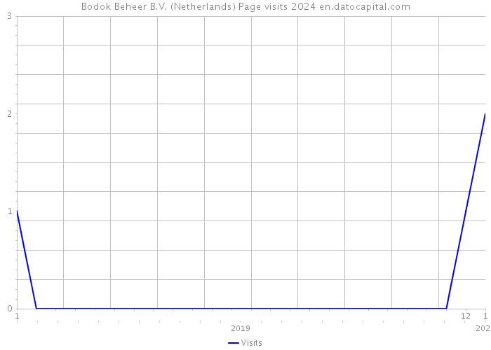 Bodok Beheer B.V. (Netherlands) Page visits 2024 