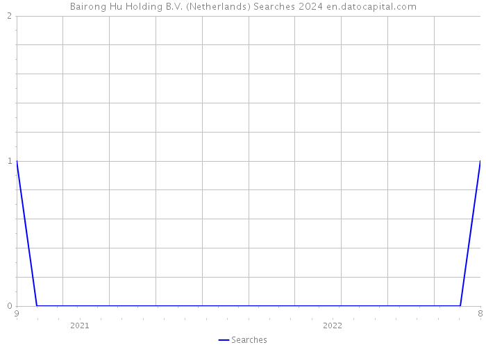 Bairong Hu Holding B.V. (Netherlands) Searches 2024 