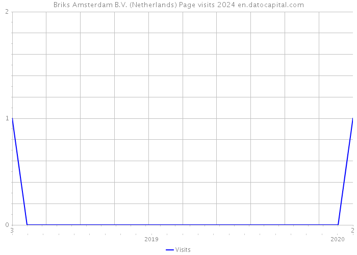 Briks Amsterdam B.V. (Netherlands) Page visits 2024 