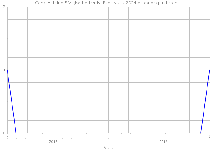 Cone Holding B.V. (Netherlands) Page visits 2024 