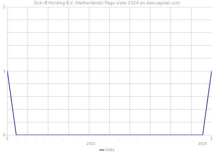 Dok-B Holding B.V. (Netherlands) Page visits 2024 