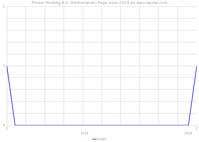 Flinter Holding B.V. (Netherlands) Page visits 2024 