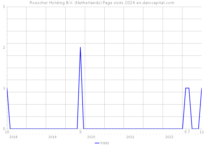 Roescher Holding B.V. (Netherlands) Page visits 2024 