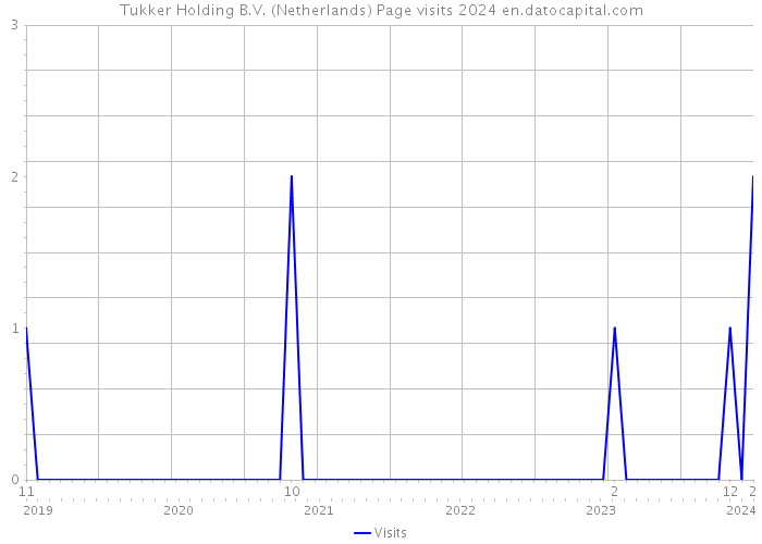 Tukker Holding B.V. (Netherlands) Page visits 2024 