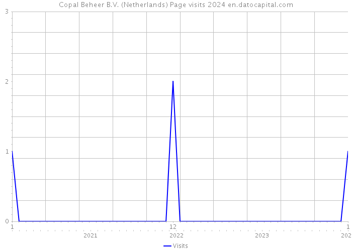 Copal Beheer B.V. (Netherlands) Page visits 2024 