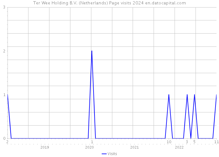 Ter Wee Holding B.V. (Netherlands) Page visits 2024 