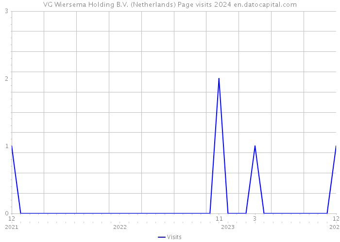 VG Wiersema Holding B.V. (Netherlands) Page visits 2024 