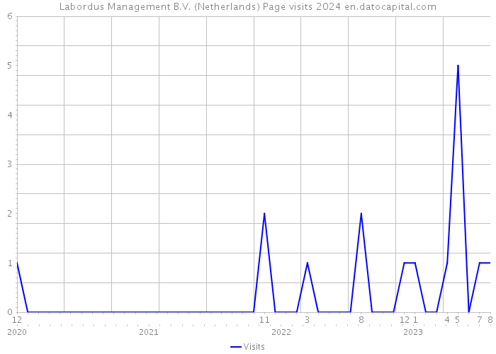 Labordus Management B.V. (Netherlands) Page visits 2024 
