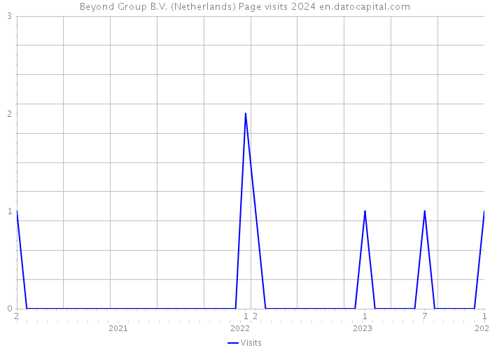 Beyond Group B.V. (Netherlands) Page visits 2024 