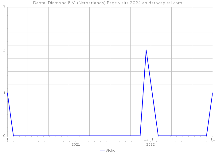 Dental Diamond B.V. (Netherlands) Page visits 2024 