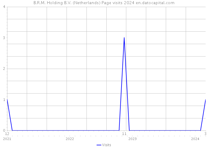 B.R.M. Holding B.V. (Netherlands) Page visits 2024 