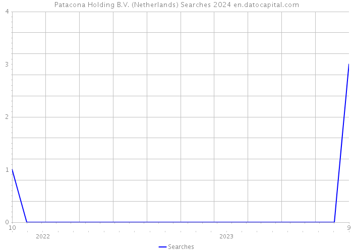 Patacona Holding B.V. (Netherlands) Searches 2024 