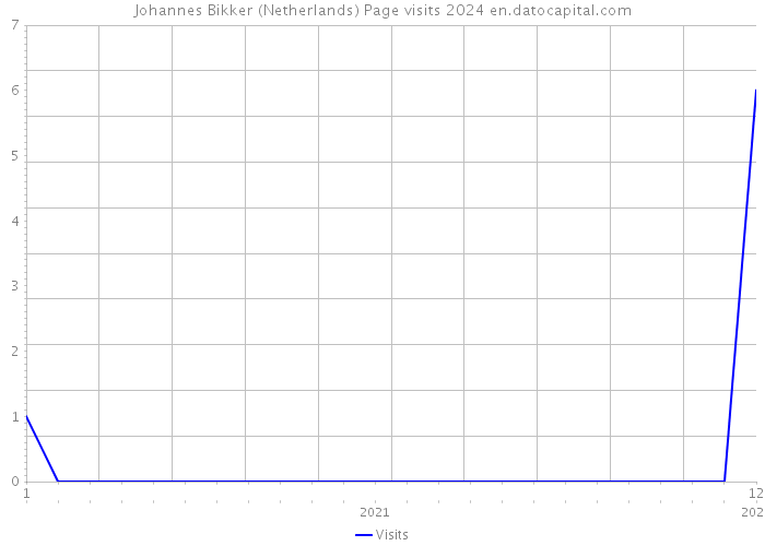 Johannes Bikker (Netherlands) Page visits 2024 