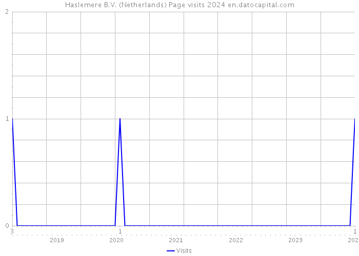 Haslemere B.V. (Netherlands) Page visits 2024 