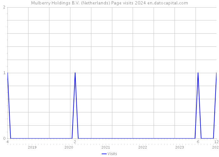Mulberry Holdings B.V. (Netherlands) Page visits 2024 