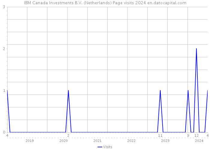 IBM Canada Investments B.V. (Netherlands) Page visits 2024 