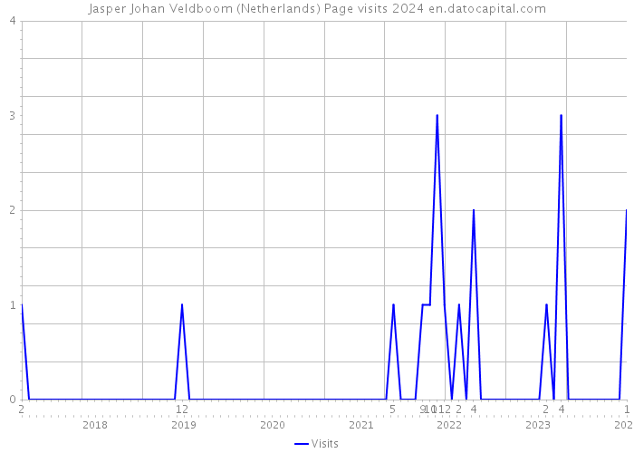 Jasper Johan Veldboom (Netherlands) Page visits 2024 