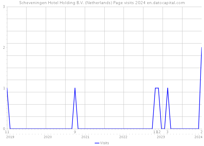 Scheveningen Hotel Holding B.V. (Netherlands) Page visits 2024 